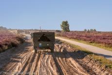 75 years after the Battle of Arnhem - Classic Car Road Trip: Remembering the Battle of Arnhem 75 years on, an imposing convoy of WWII vehicles driving to the commemorative...
