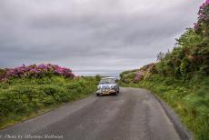 Ireland - A road trip through Ireland in a Classic Mini:&nbsp;From the IMM, we toured in our Mini Authi over Achill Island. Here, the roads are lined by...