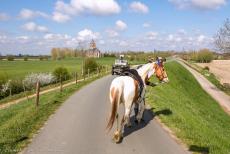 Commemoration Operation Quick Anger 2019 - Operation Quick Anger Commemoration 2019: During the Operation Quick Anger memorial tour, an extremely nervous horse and its owner were... Commemoration Operation Quick Anger 2019 - Operation Quick Anger Commemoration 2019: During the Operation Quick Anger memorial tour, an extremely nervous horse and its owner were...