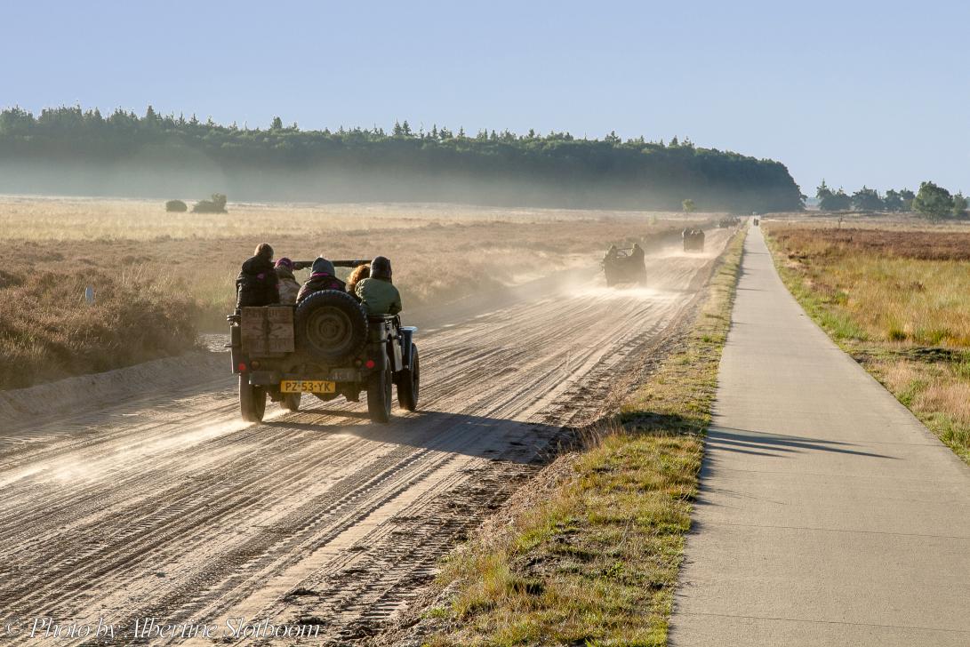 75 years after the Battle of Arnhem - Classic Car Road Trip: A convoy of WWII Jeeps driving on the dusty sand roads of Ginkel Heath close to the Dutch city of Ede...