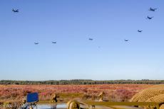 75 jaar na de Slag om Arnhem - Classic Car Road Trip: Laag vliegende militaire vliegtuigen boven de Ginkelse Heide dichtbij Ede tijdens de 75-jarige herdenking van de...