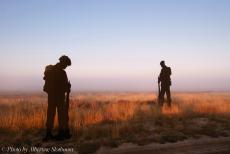 80th anniversary of the Battle of Arnhem - Classic Car Road Trip, 80th Anniversary of the Battle of Arnhem: The sun rises over the Ginkel Heath and the installation The Veterans...