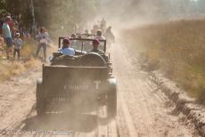 80th anniversary of the Battle of Arnhem - Classic Car Road Trip, 80th Anniversary of the Battle of Arnhem: A convoy of WWII Jeeps driving on the dusty sand roads of the Ginkel...