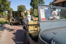 80th anniversary of the Battle of Arnhem - Classic Car Road Trip, 80th Anniversary of the Battle of Arnhem: Our own Ford GPW Jeep on the Telefoonweg near the Renkum Heath, the starting...