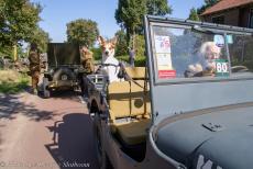 80-jarige herdenking Slag om Arnhem - De 80ste&nbsp;herdenking van de Slag om Arnhem: Onze hond Jussi op de achterbank van onze Ford GPW Jeep. De Telefoonweg bij de Renkumse Heide is...