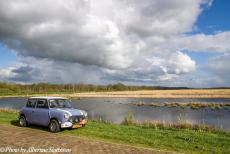 Stuyvesant Tour - Stuyvesant Tour 2017: Driving in our own Mini Authi through the peatlands of the National Park Weerribben-Wieden in the...